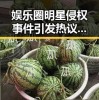 娱乐圈明星侵权事件引发热议：反思与警醒并存