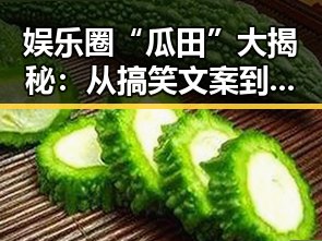 娱乐圈“瓜田”大揭秘：从搞笑文案到明星真相的层层剥开